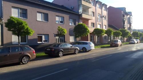  Apartment Eurho, Pension in Osijek bei Josipovac