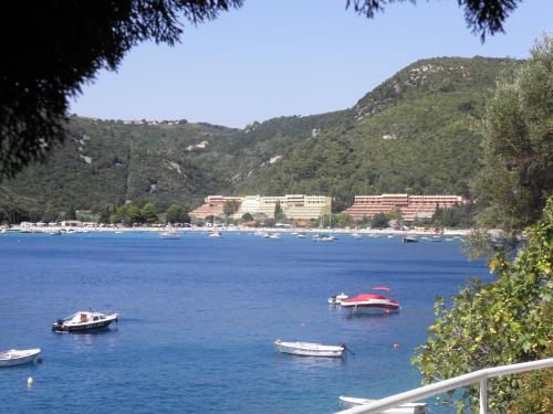 Villa Antonija - image 5