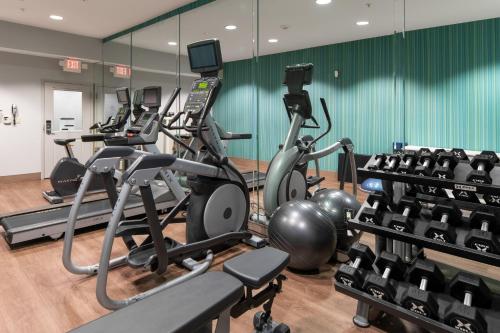 Fitness center, Holiday Inn Express Hotel & Suites Dallas South - DeSoto in Desoto