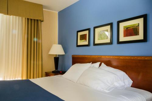 Holiday Inn Express Hotel & Suites Acme-Traverse City, an IHG Hotel