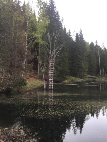 Apartmán “U nás v podkroví“ v Rezidenci Klostermann, Železná Ruda 24