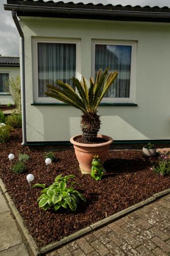 Hotel Waldidyll - image 12