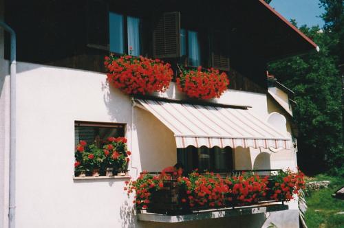 B&B Idrija - ZRM center - Bed and Breakfast Idrija