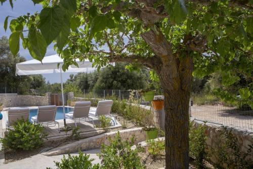 Garden, dell Mar stone house in Svoronata
