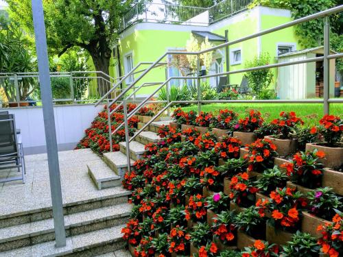 AJO Apartments - Alte Donau Terrace Studio - Self-Check-in