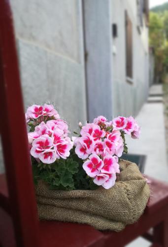  Da Miki in Chiomonte