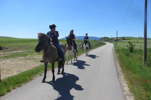 Ponyhof Adam Urlaub auf dem Bauernhof