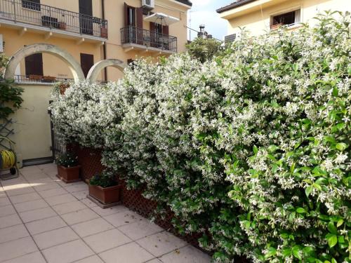 Home Scalzi 18, Verona (foto 5)