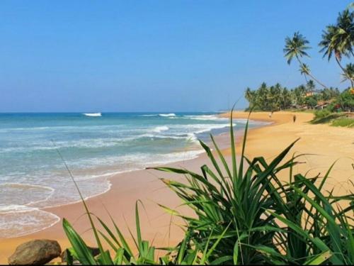 Ashen's Beach House Galle Sri Lanka