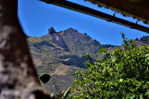 Viuter Rural Cave House El Refugio de Miguel