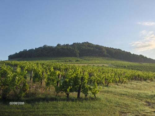 La maison du vigneron