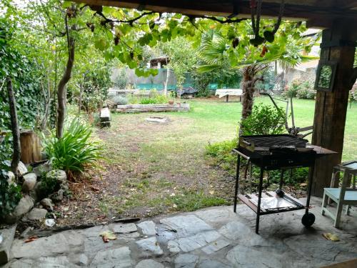 Las 3 Negrillas Las 3 Negrillas