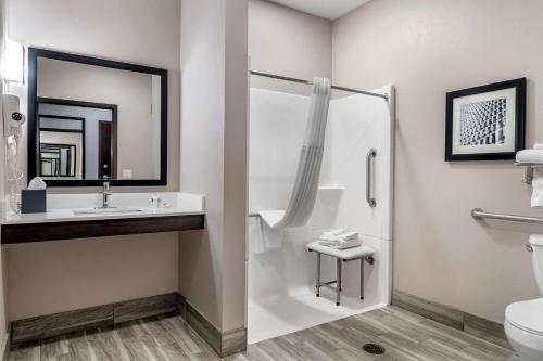 Comfort Suites McDonough Atlanta South