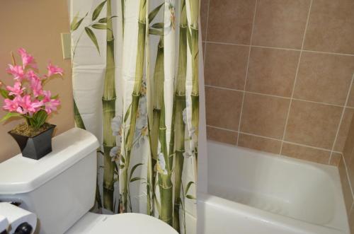 Waikiki Condo Just Remodeled Kuhio Village 202A - image 4