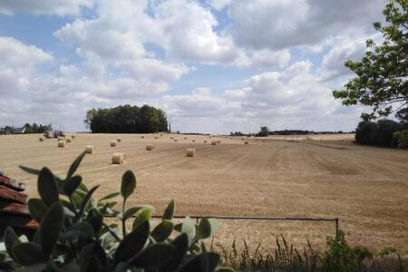 LES GITES DE GALARNE gîte à louer Tours