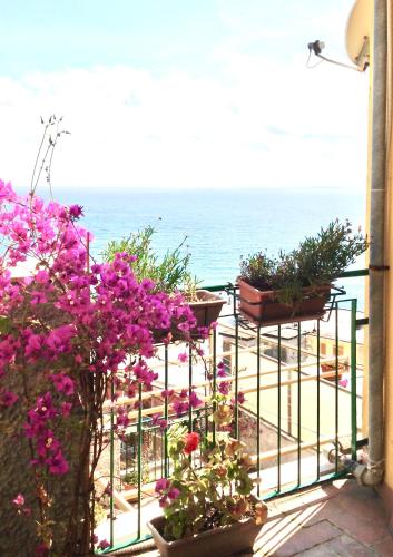 Partenope, Levanto (Foto 5)