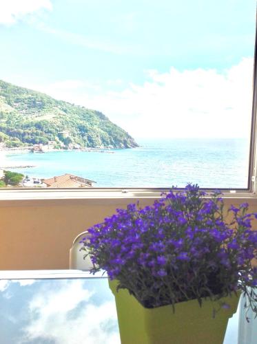 Partenope, Levanto (Foto 6)