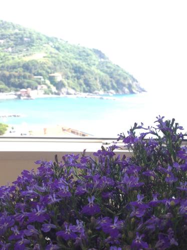 Partenope, Levanto (Foto 7)