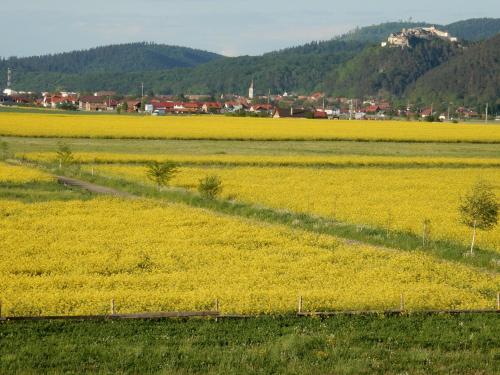 Pensiunea Cetatea Craiului - main image