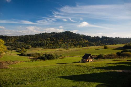 Iekārtas, Domki Na Ogrodach in Falsztyn