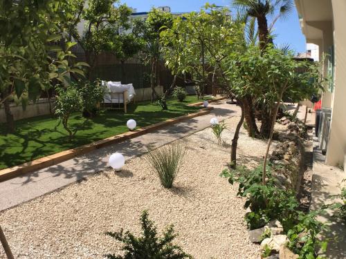 Le jardin du port, Nice (fotografie 9)