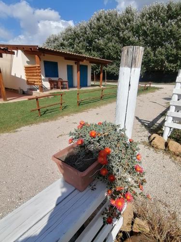  agriturismo oca giuliva in Lido dei Pini