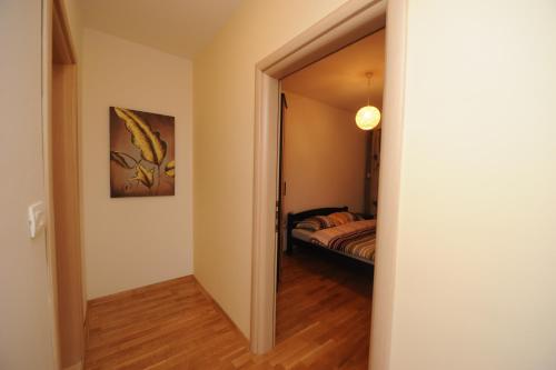 Exclusive Skopje Apartments, Skopje (photo 7)