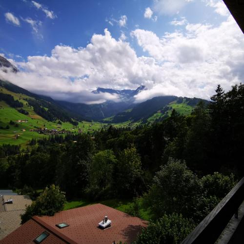 FeWo Fernsicht Crystal in Adelboden