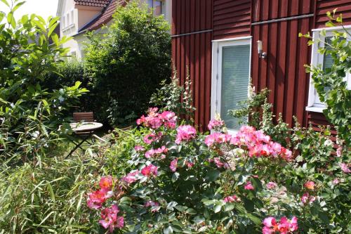 Oko-Ferienwohnung-Kiel im Schwedenhaus