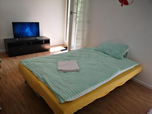 Apartment near fair and central City in few min, with garden, Frankfurt/Main (photo 10)