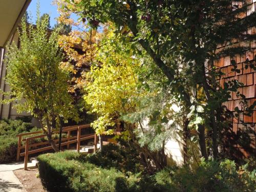 Three-Bedroom Premier Townhouse Unit #67 by Snow Summit Townhouses Bus Lic #23581 - image 2