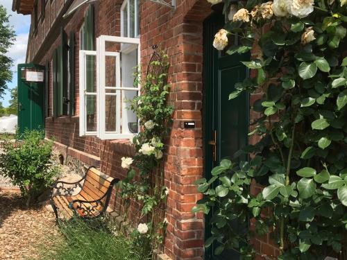 Ieeja, Alte Küsterei Hohen Mistorf, Ferienwohnung (Alte Kusterei Hohen Mistorf, Ferienwohnung) in Alt Suhrkow