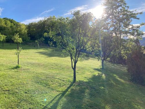 Căsuța de sub pădure (Casuta de sub padure) in Egyéb