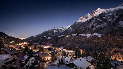 Palladium de Champéry - image 6