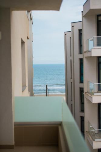 Apartel Epic - image 10