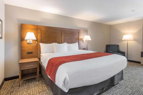 Comfort Inn Grove City - image 4