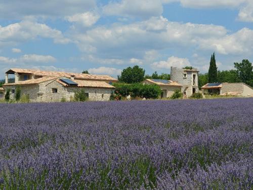 Le Mas des Lavandes - Accommodation - Sault-de-Vaucluse