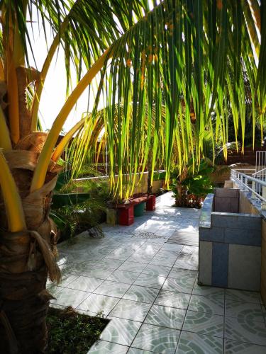 Garden, Villa Pistaches in Grand-Bourg