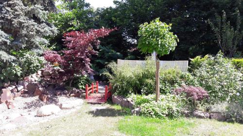 Ferienzimmer Täubchen - main image