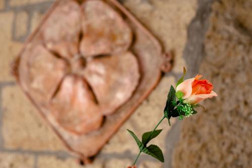 B&B Locanda Il Tufo Rosa - image 8
