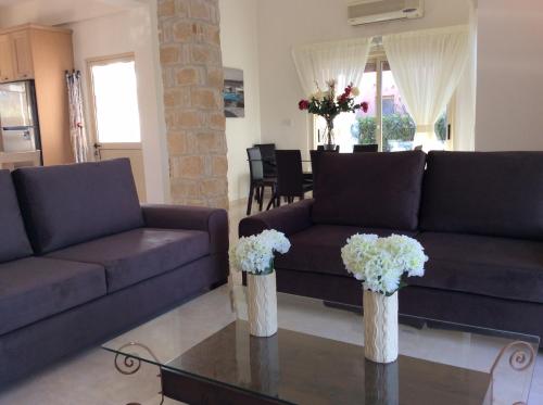 Dream House Latchi Villa in Neokhorio