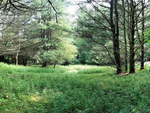 Tentrr - Butternut Valley Bunkhouse - image 2