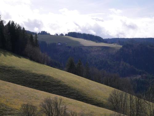 Thurner Wirtshaus - image 8