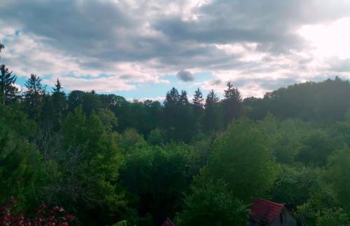 Ferienwohnung im Manbach in Freudenstadt