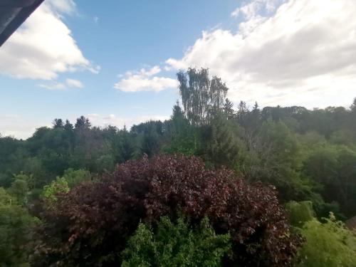 Ferienwohnung im Manbach in Freudenstadt