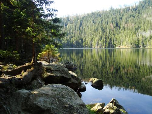 Surrounding environment, Apartmany Alpsky Dum near Bultas
