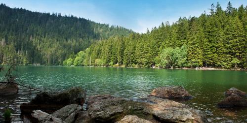Surrounding environment, Apartmany Alpsky Dum near Bultas