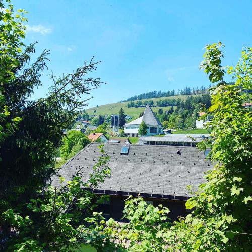Haus am Sonnenberg,Todtnauberg, Ferienwohnung 002, direkt am Skilift-Skipiste, Nahe Feldberg 2.3km von Todtnau entfernt