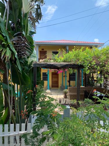 Viesnīcas āriene, All Seasons Belize in Hopkinsa
