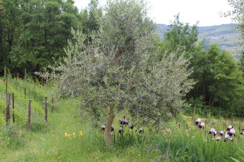 Agriturismo La Rovere – Alba, NY